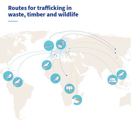 Graphic shows a world map with difference sources of trafficking for waste, timber and wildlife