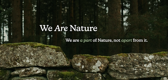Image showing white text 'We Are Nature: We are a part of Nature, not apart from it' on a photo of a forest above a stone wall.