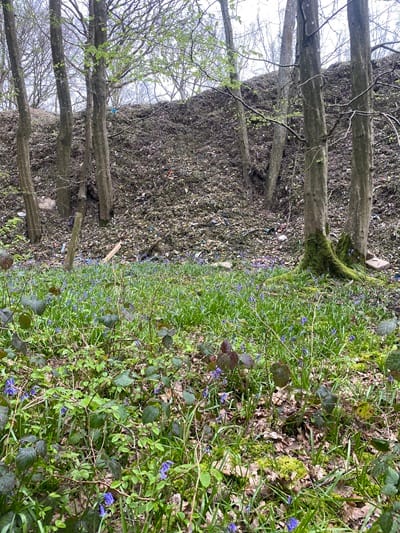 A photo with grass and bluebells close to the camera and a 25ft pile of rubbish in the trees.