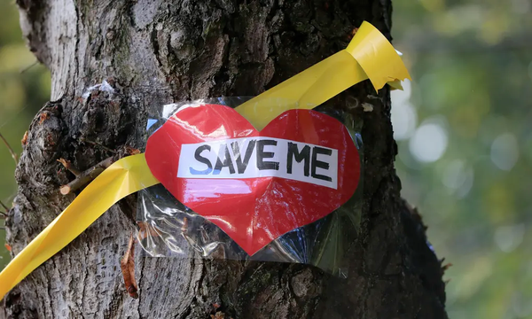 A yellow ribbon and “save me” message on a tree