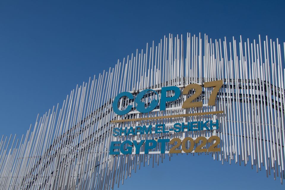 Where else can we go: climate activists have so much to say, but can they do it at COP27?