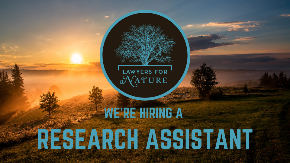 We're Hiring a Research Assistant to work on Rights of Nature and Corporate Governance